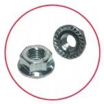 Serrated Flange Nuts Supplier