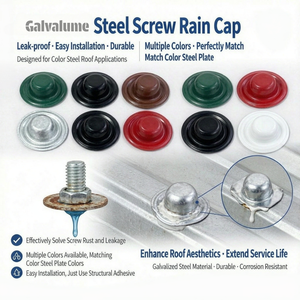 Customized Roofing Fasteners Metal Roof Screw Cap Washer Seals Existing Screws For Container House Galvalume Finish M16