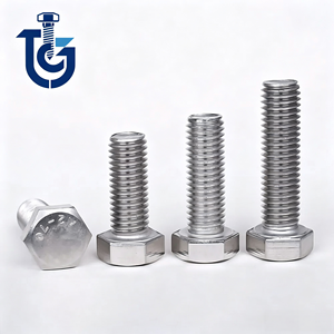 DIN933 Full Thread SS304 SS316 Hexagon Head Bolts Variety Pack