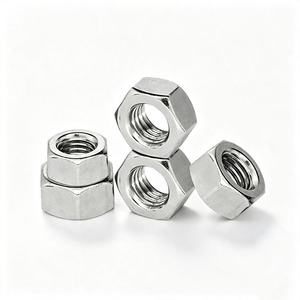 Stainless Steel Hex Nuts Corrosion Resistant Sets
