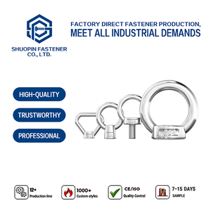 316 Stainless Steel DIN582 Lifting Eye Nut