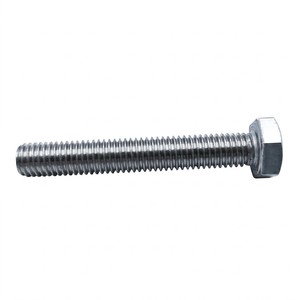 Heavy Duty Forged Stainless Steel SS304 SS316 Hex Nut Fasteners