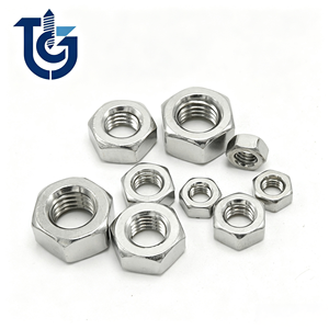 304 316 Stainless Steel Hex Nuts DIN934