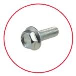 Flange Head Screw Manufacturer