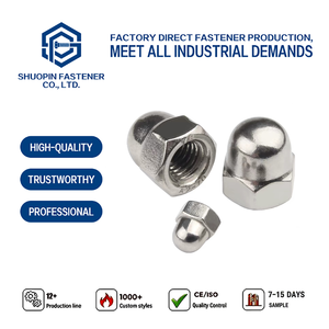 316 Stainless Steel Acorn Nut Cap Nut DIN1587